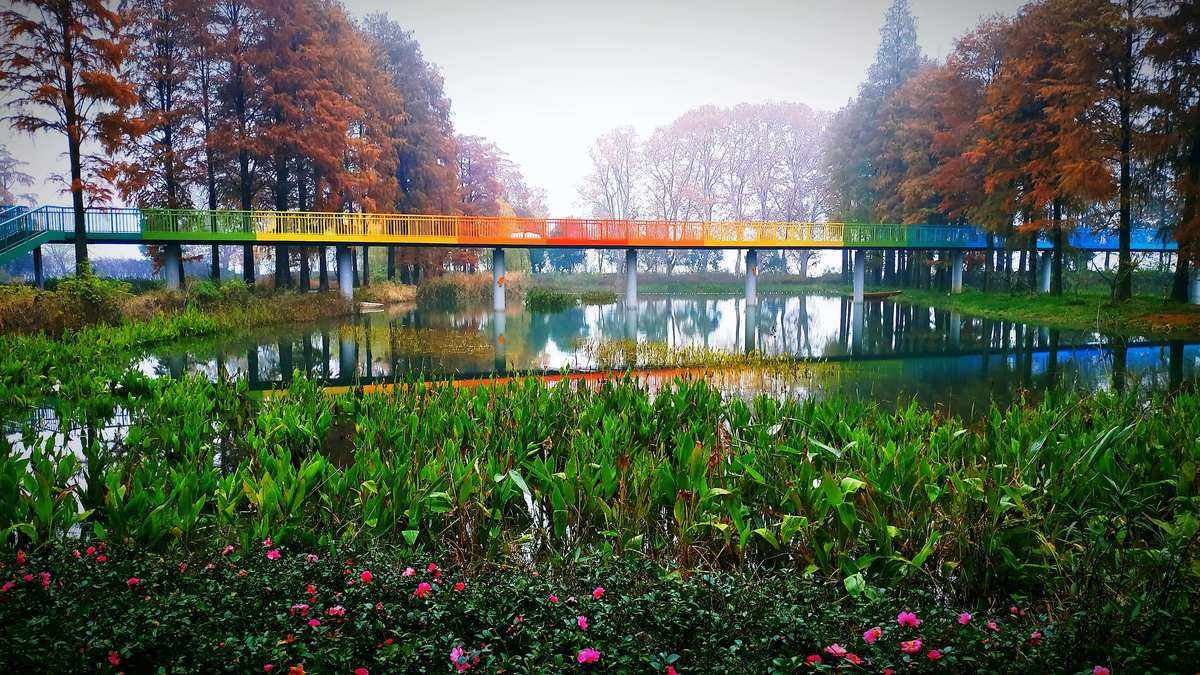 华侨城湿地公园(华侨城湿地公园怎么样)