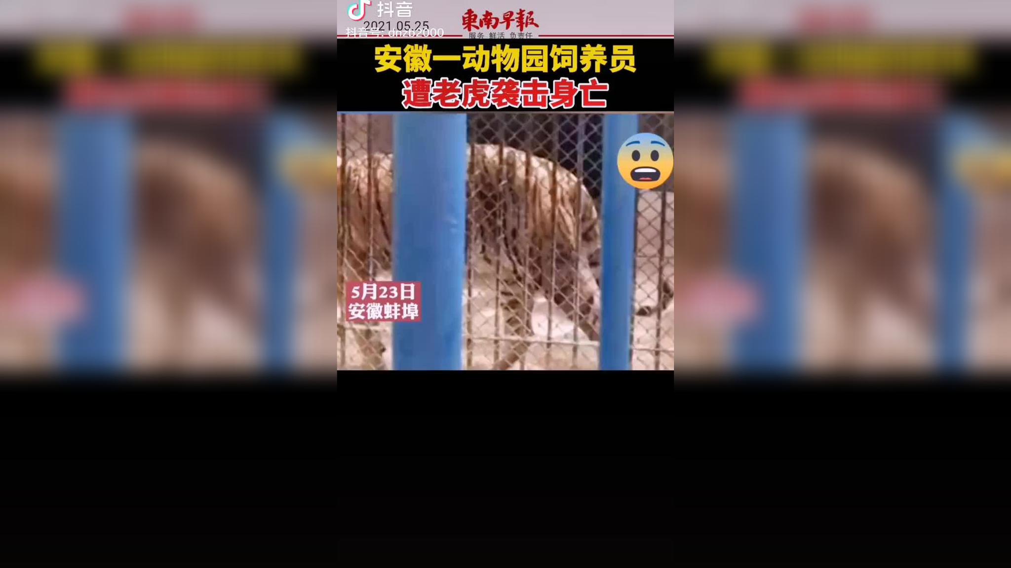 击毙外逃老虎原因(老虎吃人全过程)
